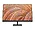 65P64AA#ABA | Hp V27i G5 27-Inch FHD FreeSync Monitor with