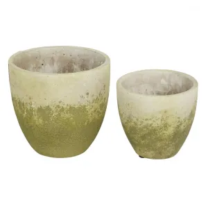 Accent 4506513 Cement Flower Pot Set - Weathered Look