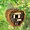 Songbird Valley Charming Heart-Shaped Mini Bird House for