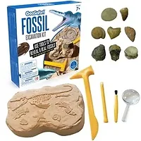 Educational Insights-EII 5340