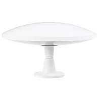 Majestic Global USA-MJUFOXL