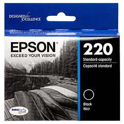 EPSON-T220120