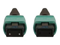 Tripp Lite-N842B-10M-12-MF