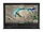 81MB004EUS | Lenovo Chromebook 300e Gen 2 11.6