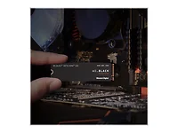 Western Digital-WDS250G3X0E