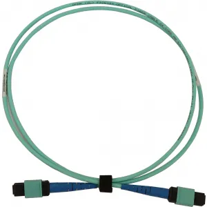 Tripp N846B-03M-24-P Cables And Connecti