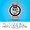 Garmin Garmin FENIX 6S Sapphire - Rose Gold with Gray Band