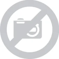 KINGSTON-KTL-TS429S4/32G