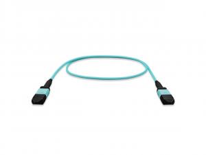 Nippon 30FP-12MPO-4BF Cable Nippo|30fp-12mpo-4bf R