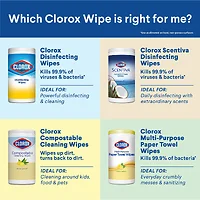 The Clorox Company-CLO 31404
