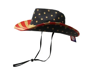 AC422 | Bulk Buys Stars and Stripes Cowboy Hat from Lulla