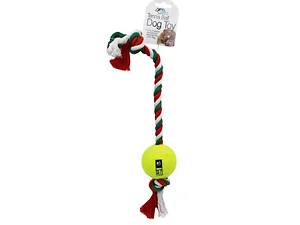 AC375 | Bulk Buys Durable Tennis Ball Chew Toys for Dogs
