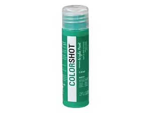 AD401 | Bulk Buys ColorShot Cash 2oz Premium Acrylic Paint