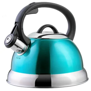 Mr Coffee Turquoise 1.75 Quart Whistling Stovetop Tea Kettle