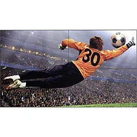 LG Electronics-55VSM5J-H