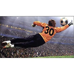 LG Electronics-55VSM5J-H