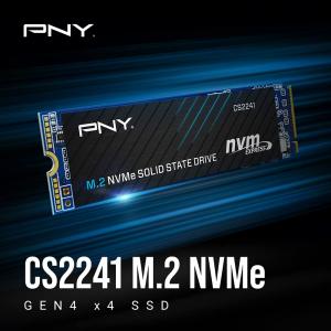 Pny M280CS2241-1TB-RB Pny Cs2241 1tb M.2 Nvme