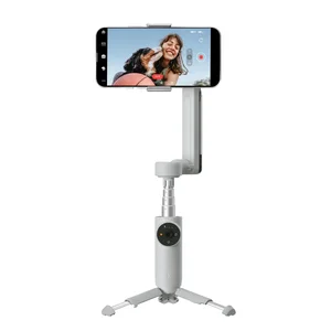 CINSABBA_FLOW04 | Insta360 Flow Standalone Accessory - Grey