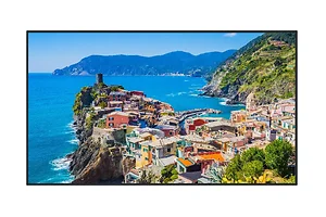 TH-75EQ2W | Panasonic 75-Inch 4K UHD LED LCD Display with