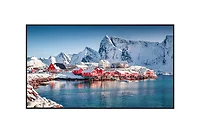 PANASONIC-TH-65SQE2W