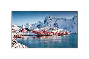 TH-65SQE2W | Panasonic 65-Inch 4K UHD Display with