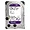 Western Digital WD Purple 6TB Surveillance SATA Hard Drive