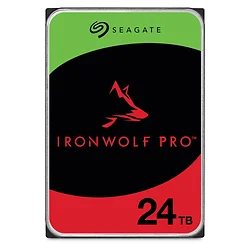 SEAGATE-ST24000NT002