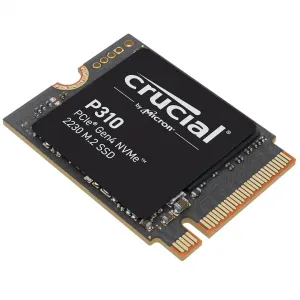 CT1000P310SSD2