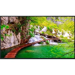 PANASONIC-TH-43CQE2U