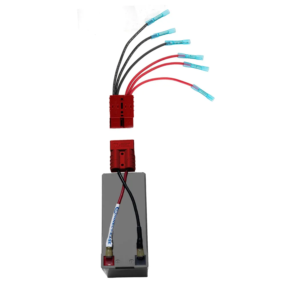 ConnectEase-RCE12VSPD