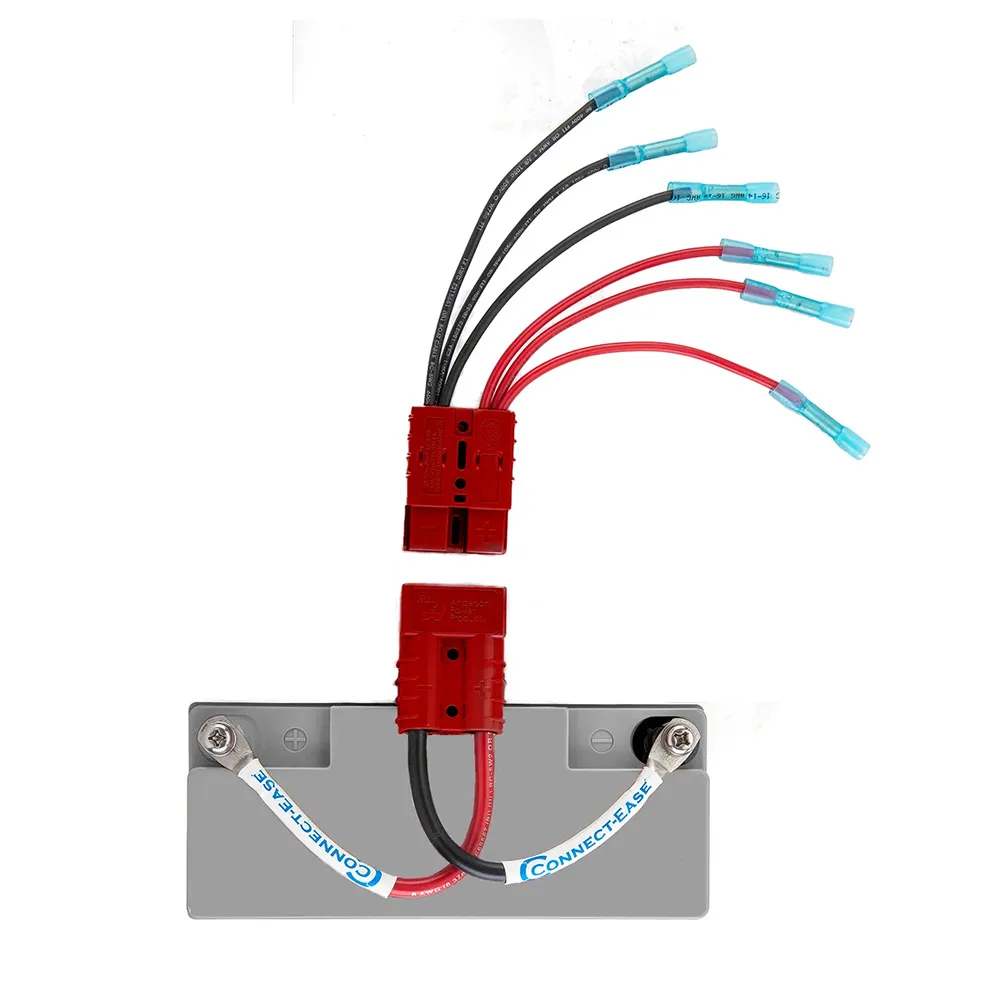 ConnectEase-RCE12VKYK