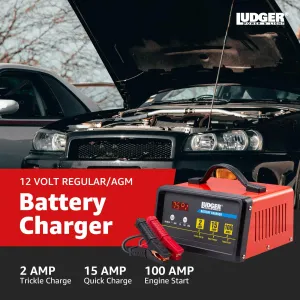 Nippon LBCG12100 12v Battery Charger - 3 Charging Modes