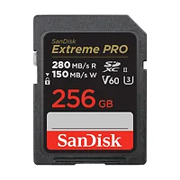 SanDisk-SDSDXEP-256G-GN4IN