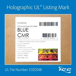 International Connectors and Cable Corp.-ICCABR6ABL