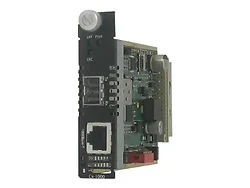 PERLE SYSTEMS-05052190