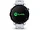 Garmin FORERUNNER 255S MUSIC WST