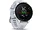 Garmin FORERUNNER 255S MUSIC WST