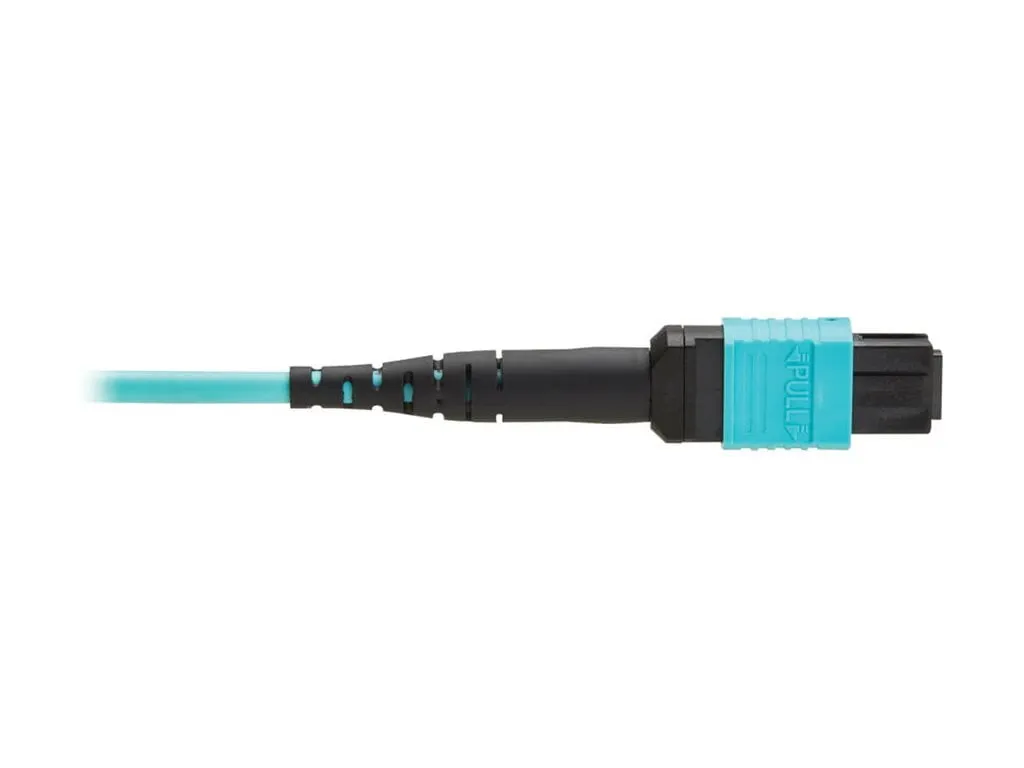 Tripp Lite-N845A-01M-12TAA