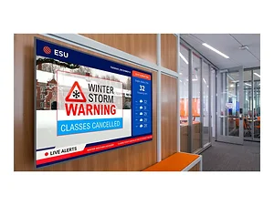 998-3928-00 | Planar, SLP65, 65IN DIAGONAL, UHD, D-LED