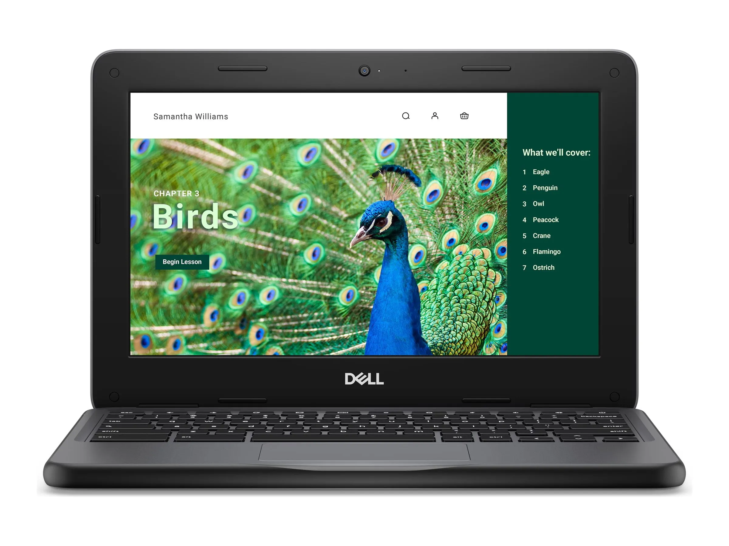DELL-NRD5N