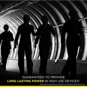 Spectrum Rayovac Ultra Pro Alka AA24 Batteries - For