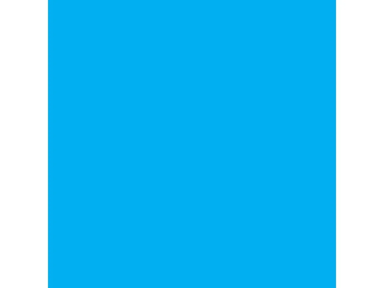 Ricoh-RIC821304