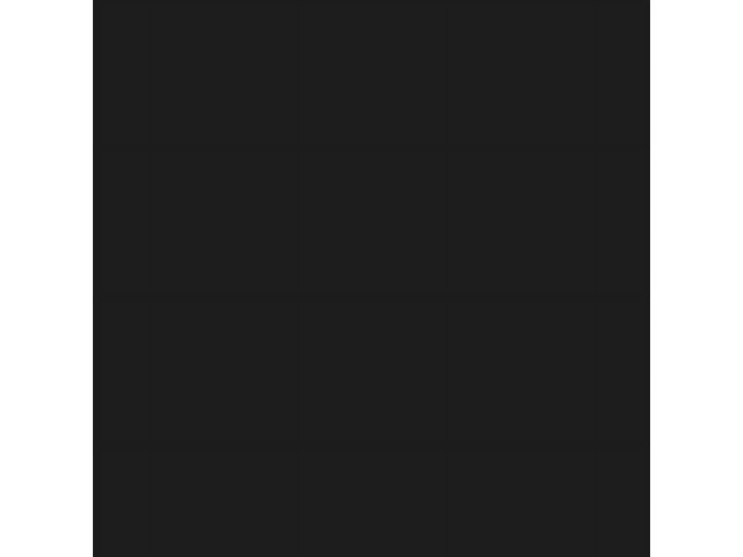 Ricoh-RIC821301