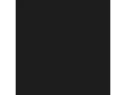 RICOH / Fujitsu-RIC821301