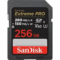 SanDisk-SDSDXEP-256G-ANCIN