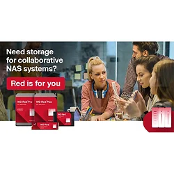 Western Digital-WD181KFGX-20PK