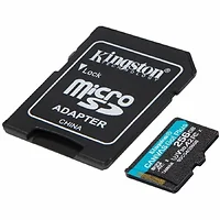 KINGSTON-SDCG4/256GB