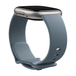 Fitbit-FB523SRAG-US