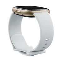 Fitbit-FB521GLBM-US